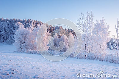 Winter scene. Frost and snow in picturesque morning. Snowy winter landscape in morning sunlight. Beautiful frosty nature. Stock Photo