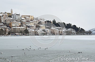 Winter scene at the lake Stock Photo