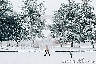 Winter scene outdoors. Man walking under snow in park. Heavy snowfall and snowstorm. Snow blizzard and bad weather winter Stock Photo