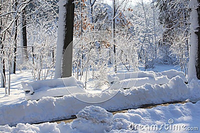 Winter scene in park Stock Photo