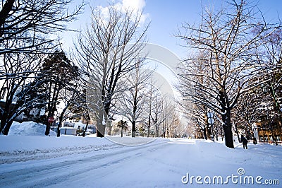 Winter scene Sapporo, Hokkaido, Japan. Editorial Stock Photo