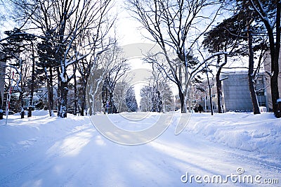 Winter scene Sapporo, Hokkaido, Japan. Editorial Stock Photo
