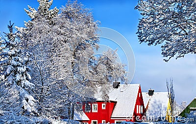 Winter scene with trees Stock Photo