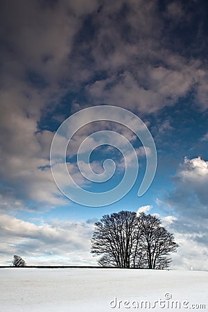 Winter sceneries in Denmark with a field covered by snow Stock Photo