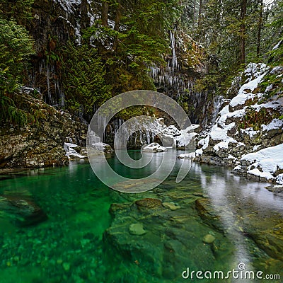 Winter scenery of the Lynn creek in Lynn Canyon Park in North Vancouver Stock Photo