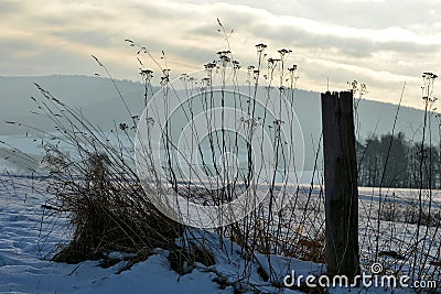 Winter scenery with the sunrise with wooden post and high plants Stock Photo