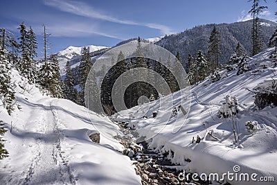 Winter scenery of the Western Tatra Mountains. Chocholowska glade area Stock Photo