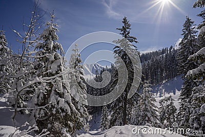 Winter scenery of the Western Tatra Mountains. Chocholowska glade area Stock Photo