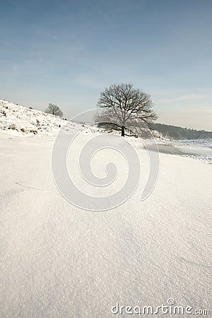 Winter Scenic Stock Photo