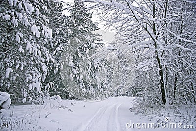 Winter Scenic Seasonal Road Stock Photo