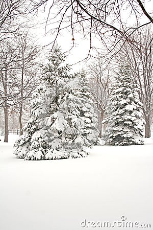 Winter season. Stock Photo