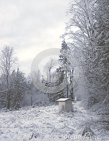 Winter Shed Stock Photo