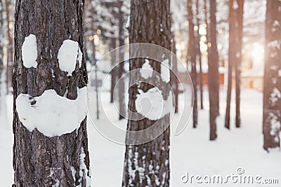 Winter smiley face on a tree Stock Photo