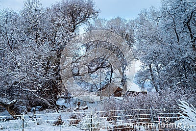 Winter snow on abandoned old fashioned dairy farm buildings Stock Photo