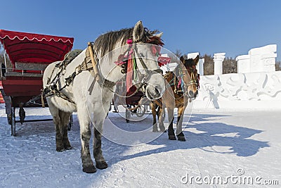 Winter Snow carriage Stock Photo