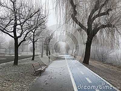 Winter snow and frost in a urban park Stock Photo