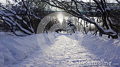 Winter snow in Gorky park Stock Photo