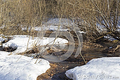 After the Winter Snow is Melting, the Flow of Water in Wooded Area. spring. a stream in the forest. thawing areas. Little creek Stock Photo