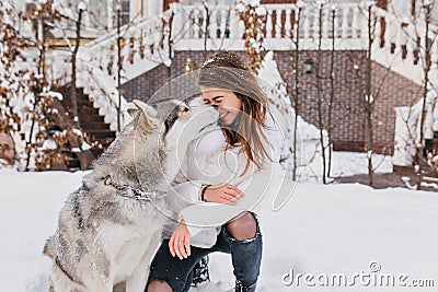 Winter snowing time on street of cute husky dog kissing charming joyful young woman. Lovely moments, real friendship Stock Photo