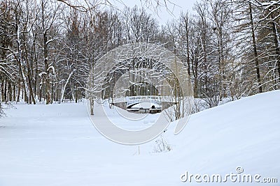 Winter snowy landscape. Bridge over the frozen pond. Snow-covered park on a cold winter day Stock Photo