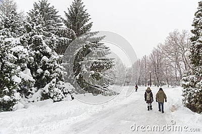 Winter snowy landscape in Montreal Editorial Stock Photo
