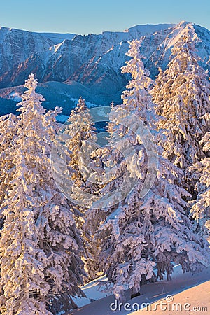 Winter snowy landscape, Postavaru Brasov. Mountain Landscape Stock Photo