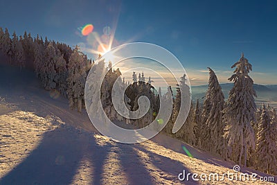 Winter snowy landscape, Postavaru Brasov. Mountain Landscape Stock Photo