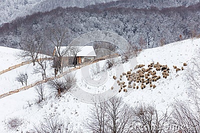 Winter snowy landscape of the transylvanian village Stock Photo