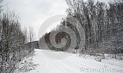 Winter snowy road across the forest Stock Photo