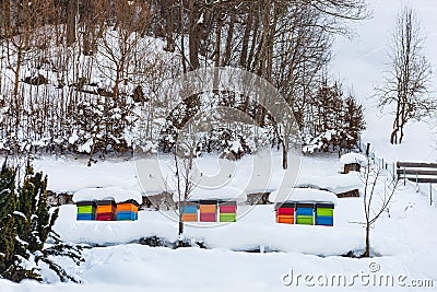 Winter, snowy scenery with colorful beehives covered with snow, placed on the hill. Snow covered trees and mountains in the Stock Photo