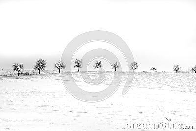 Winter solitude Stock Photo