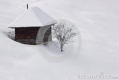 Winter solitude with tree and cottage Stock Photo