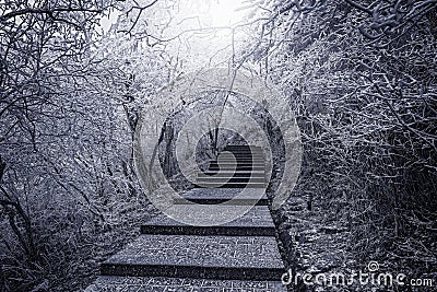 Winter stairway view in Huangshan National park. Stock Photo