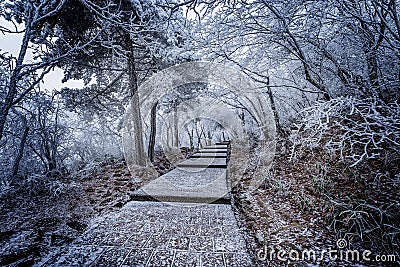 Winter stairway view in Huangshan National park. Stock Photo