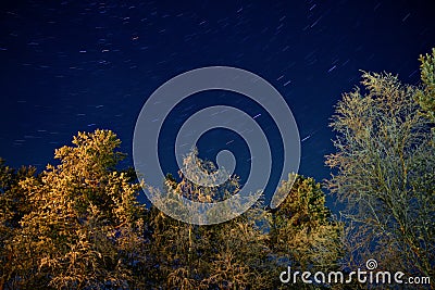 Winter starry nightscape Stock Photo