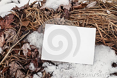 Winter stationery still life. Closeup of horizontal blank greeting card, invitation on frozen ground. Dry grass and Stock Photo