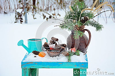 Winter still life. A jug with fir branches, seeds in a bowl, tangerines, cones on a turquoise bench on a snowy Stock Photo