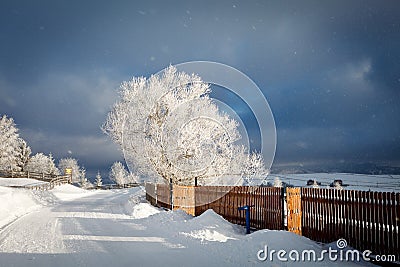 Winter Storm Stock Photo