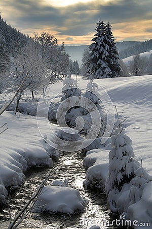 Winter stream Stock Photo