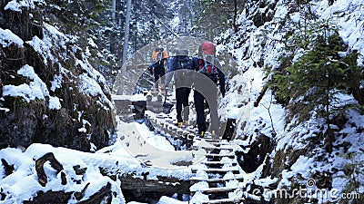 Winter in Sucha Bela gorge , Slovensky raj National park , Slovakia Editorial Stock Photo