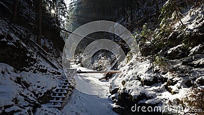 Winter in Sucha Bela gorge , Slovensky raj National park , Slovakia Stock Photo