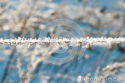 Frozen rope winter day Stock Photo