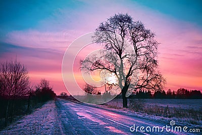 Winter sunrise Stock Photo