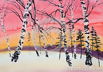 Winter sunset pine and birch Stock Photo