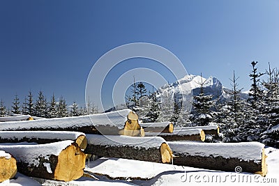 Winter in tatras mountains in poland with heap of pieces of wood Stock Photo