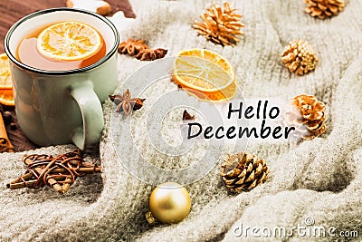 Winter theme. Cup of hot tea with spices, orange, cinnamon, anis Stock Photo