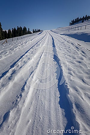 Winter, thick ice and snow cover the road, the road stretches to the distance under the blue sky Stock Photo