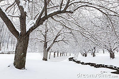 Winter time in Hurd Park, Dover, NJ Stock Photo