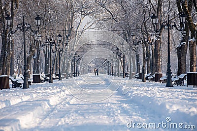 Winter time landscape in the park , Bucharest , Romania Stock Photo