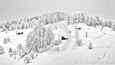 Winter time in Romania with frozen tree and traditional houses Stock Photo